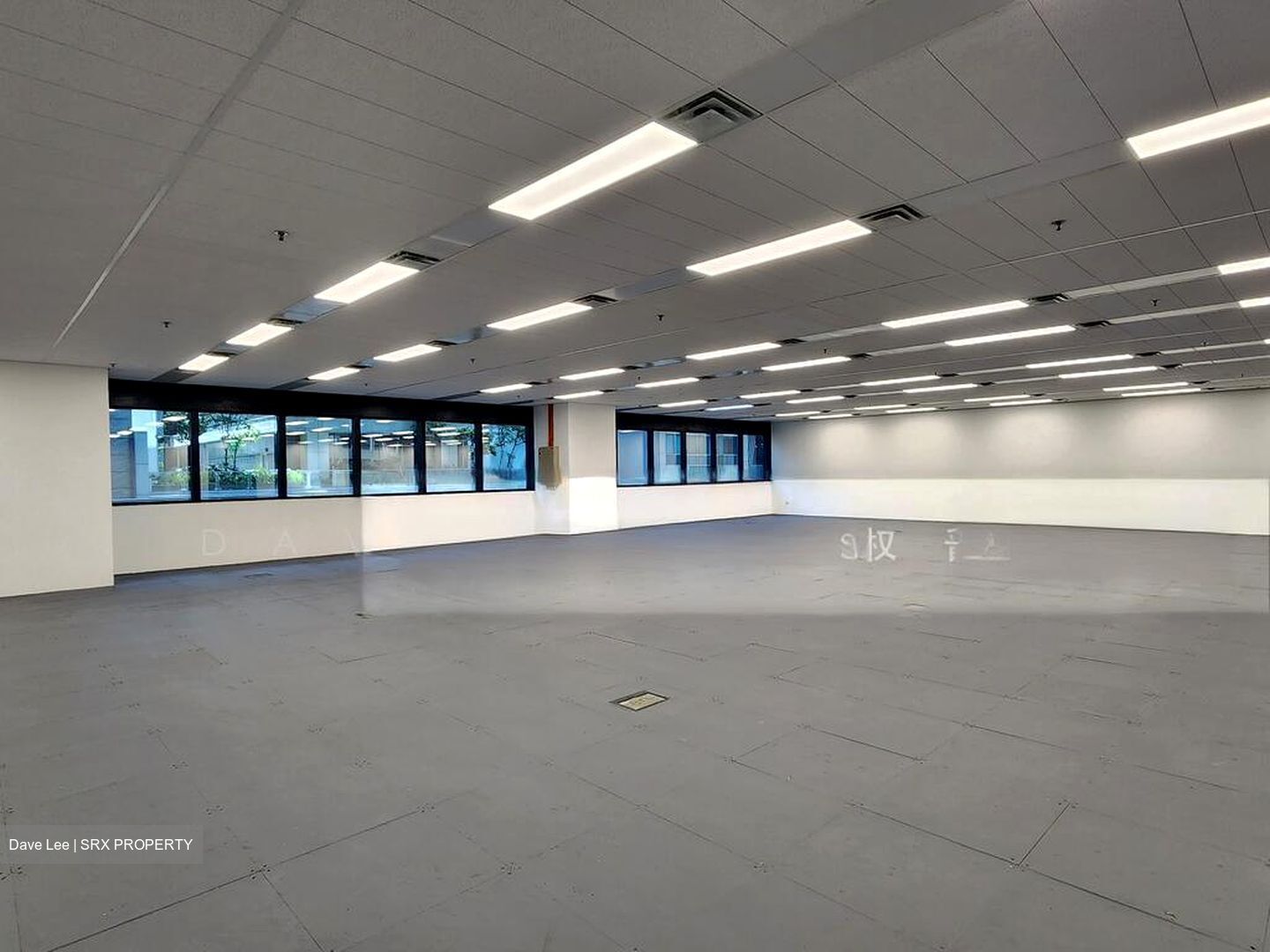 Robinson 77 (D1), Office #576577071